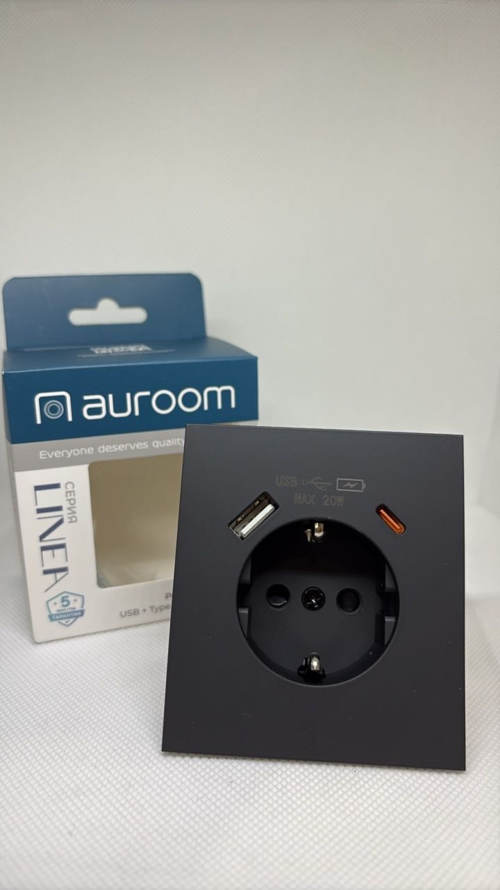 Розетка с разъемом USB+TYPE C, Черный