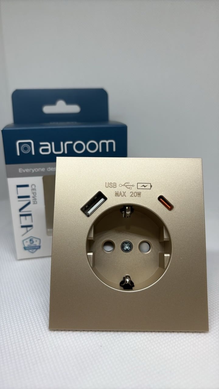 Розетка с разъемом USB+TYPE C, Золото